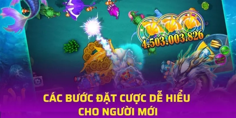 Các bước đặt cược dễ hiểu cho người mới