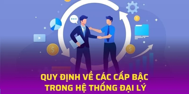 Quy định về các cấp bậc trong hệ thống đại lý
